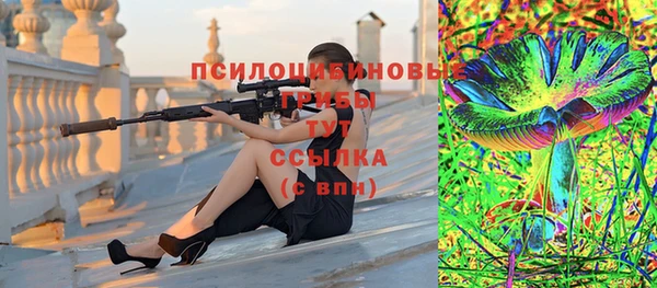 spice Вяземский