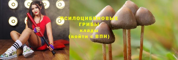 амф Вязьма