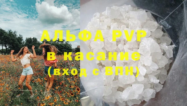 spice Вяземский