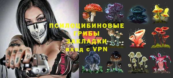 амф Вязьма