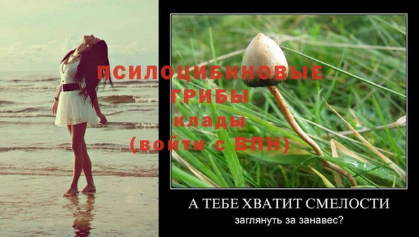 амф Вязьма