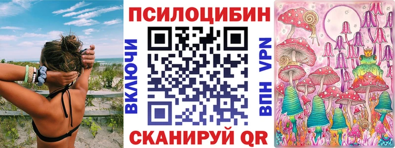 как найти   Курск  Псилоцибиновые грибы Cubensis 