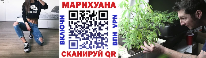 Канабис OG Kush  Курск 